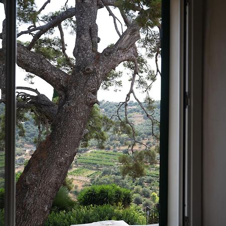 Uliveto Saglietto Agriturismo A Poggi Apartments Imperia Luaran gambar