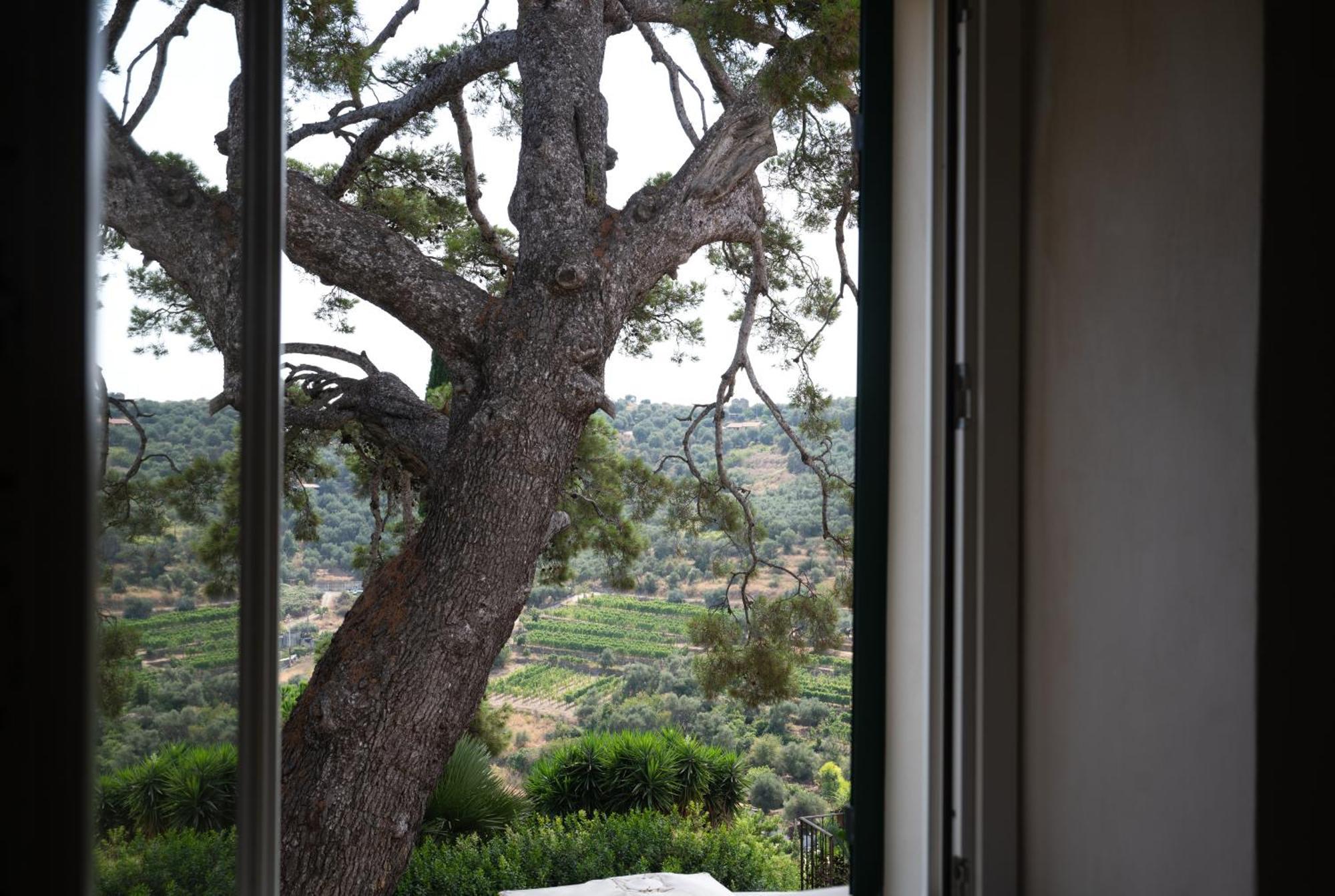 Uliveto Saglietto Agriturismo A Poggi Apartments Imperia Luaran gambar